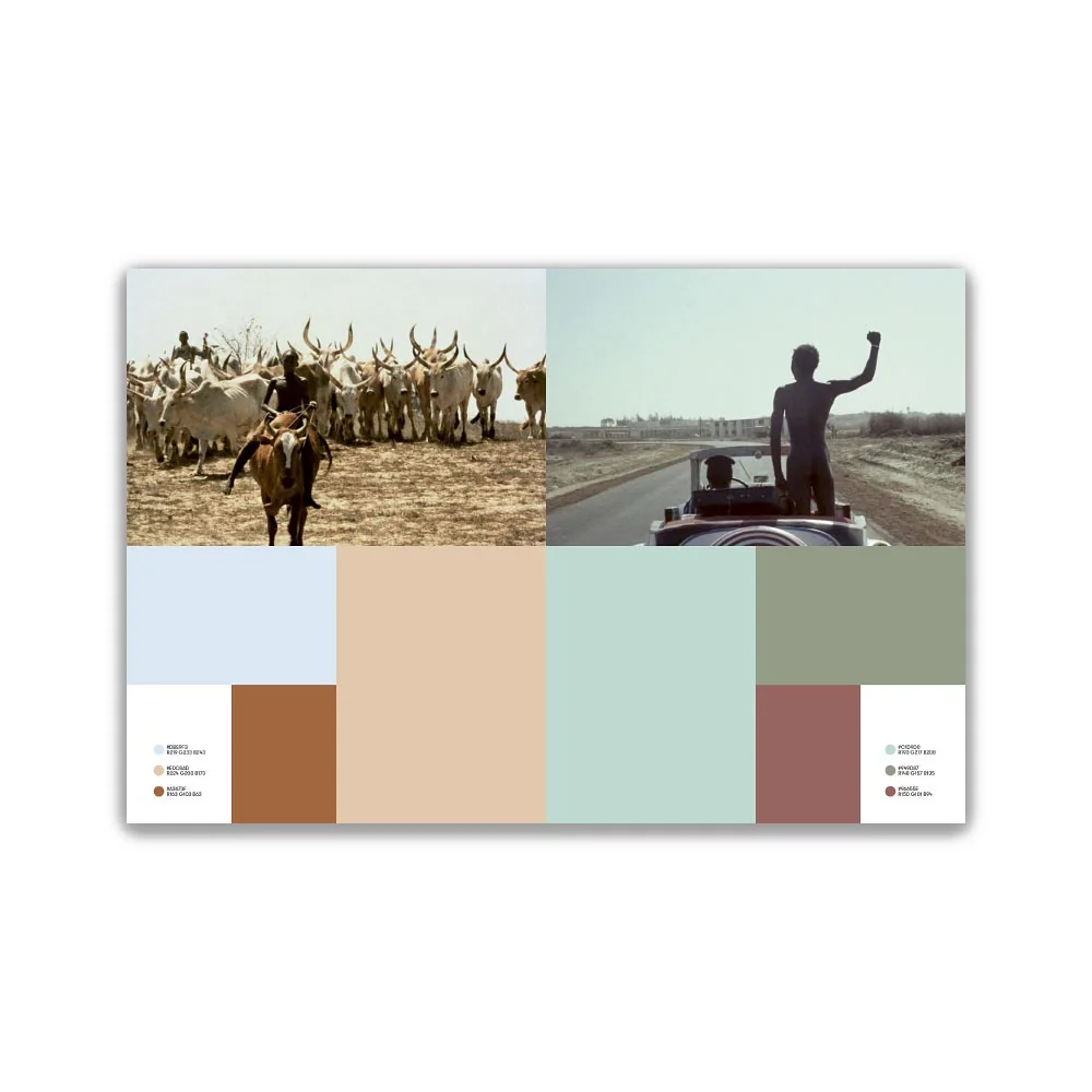 COLORS OF FILM: THE STORY OF CINEMA IN 50 PALETTES - Image 6