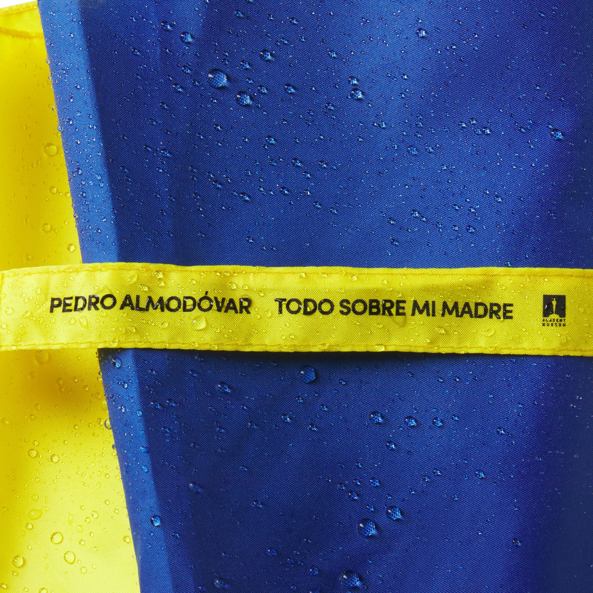 TODO SOBRE MI MADRE UMBRELLA - Image 9